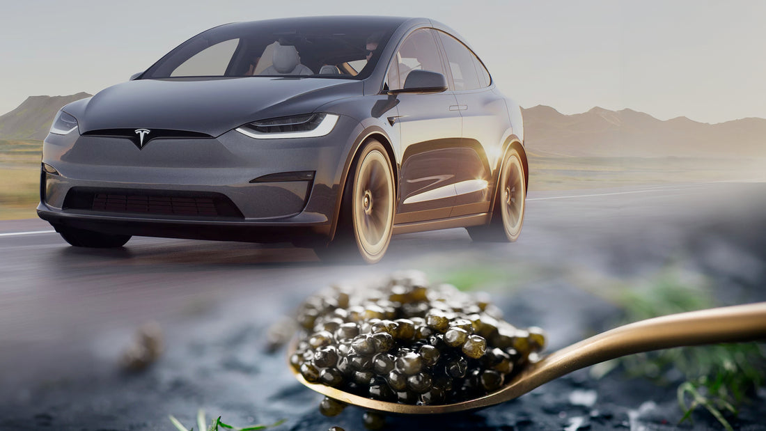 Cars and Caviar: A Taste of Luxury - Join Us for an Exclusive Evening with Tesla of Alpharetta